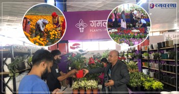 पुष्प व्यवसायमा भविष्य खोज्दै युवा